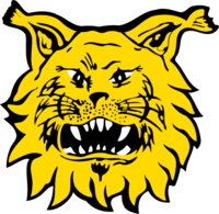 Logo du FC Ilves