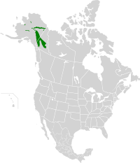 Interior Yukon-Alaska alpine tundra map.svg