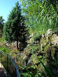 Image du Jardin botanique de la ville de Nice