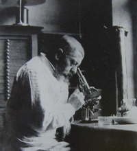Jules Dejerine (1849-1917) travaillant dans son laboratoire