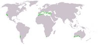 Macchia mediterranea map.jpg