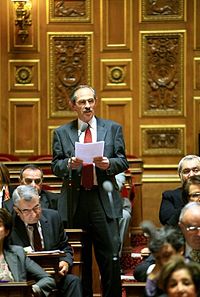 Michel Teston au sénat le 22 janvier 2010