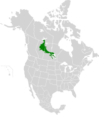 Mid-Continental Canadian forests map.svg