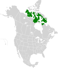 Middle Arctic tundra map.svg