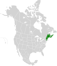 New England-Acadian forests map.svg