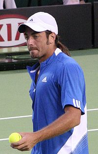 Nicolas Massu 2007 Australian Open R1.jpg