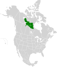 Northern Canadian Shield taiga map.svg