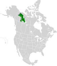 Northwest Territories taiga map.svg