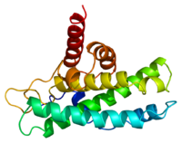 Image de la protéine du rétinoblastome