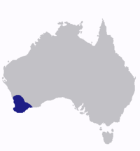 Répartition du Mérion élégant, en Australie.