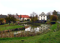 Tachov (Česká Lípa District), common pond.jpg