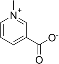 Structure de la trigonelline