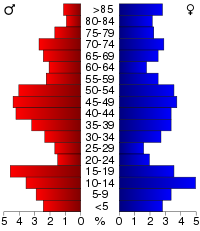 Pyramide des âges.