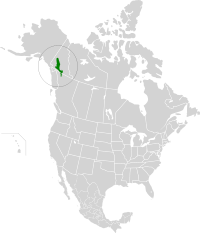 Yukon Interior dry forests map.svg