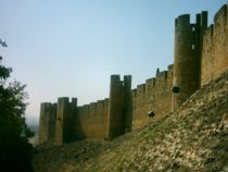 Castelo de Tomar (16).JPG