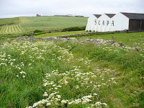 Clifftop Path at Scapa Distillery-by-Colin-Smith.jpg