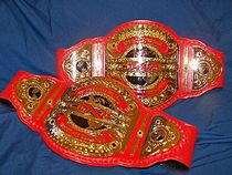 TNA Knockout Tag Team Championship.jpg
