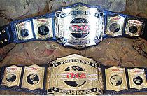 TNA tag team championships.jpg
