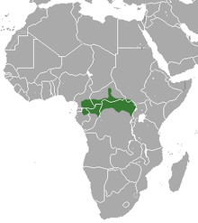  Carte de l'Afrique avec une tache verte horizontale au centre