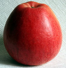 Apfel Pinova süß fruchtig 2008-3-1.JPG