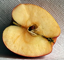 Apfelhälfte Pinova süß fruchtig 2008-3-1.JPG.JPG