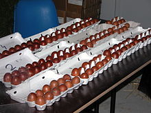 Championnat de France œufs Aurillac 2003