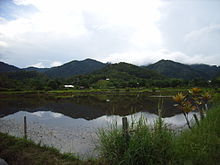 View from Bario Sarawak