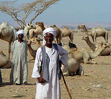 Bédouins Beja au marché aux chameaux
