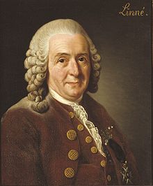 Image illustrative de l'article Carl von Linné