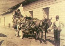 Carosse funèbre avec les restes de Jorge Isaacs