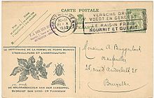 Carte postale belge prônant la lutte contre le doryphore
