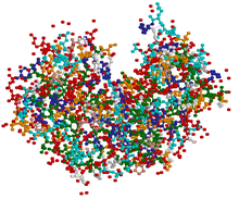 Molécule de chymosine colorée selon ses acides aminés