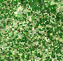 Image satellite de cultures au Kansas