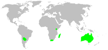 Distribution.gallieniellidae.1.png