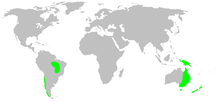 Distribution.micropholcommatidae.1.png