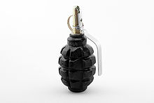 Photographie d'une grenade debout.