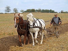 Farmer plowing.jpg