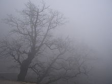 Accéder aux informations sur cette image nommée Fog.jpg.