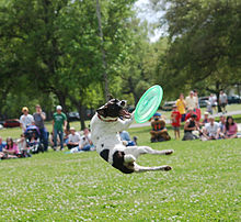 Going for the glory Audubon Park.jpg