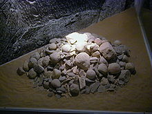 Reconstitution de l’amas d’ossements et de galets taillés ou non appelé hermaïon d’El Guettar.