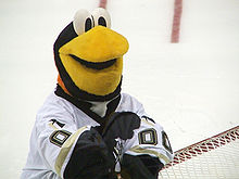  Photographie de la mascotte des Penguins portant le numéro 00.
