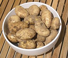 Pommes de terre primeurs de Jersey, peleuses (dont la peau fine se détache) dans un plat creux blanc posé sur une table en lattes de bois