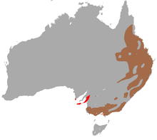 carte d'Australie montrant la distribution du Koala