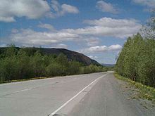 Une photographie couleur montre une large route goudronnée en perspective, l'été. Elle traverse la forêt boréale sibérienne constituée de jeunes bouleaux. Au loin, un massif rocheux émerge de la forêt