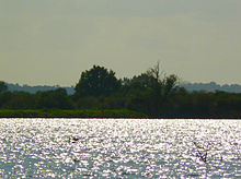 Vue du lac sous le soleil, au second plan la rive boisée.