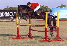 Un cheval brun foncé est monté par un homme en veste rouge et pantalon blanc, à mi-hauteur sur un saut.