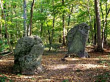 Les menhirs dits des Indrolles" dans la forêt domaniale d'Halatte, situés sur le territoire de la commune de Senlis (60) dans la parcelle 296 non loin de la D 1017.
