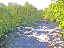 Naturreservatet Sumpafallen, 2003, fran Boarpa bro.jpg