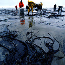 Une plage souillée de pétrole