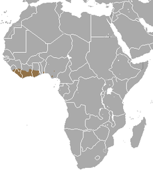 Carte de l'Afrique avec zone brune au sud de l'Afrique de l'Ouest